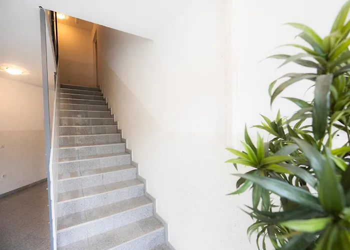 Grom Ribno شقة بليد